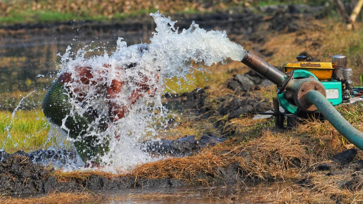 Water gushing from a pump discharge hose in a field